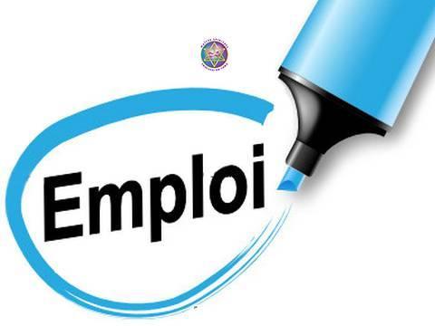 𝗖𝗛𝗔𝗥𝗠𝗘 𝗣𝗢𝗨𝗥 𝗢𝗕𝗧𝗘𝗡𝗜𝗥 𝗨𝗡 𝗕𝗢𝗡 𝗘𝗠𝗣𝗟𝗢𝗜. problèmes d'emploi